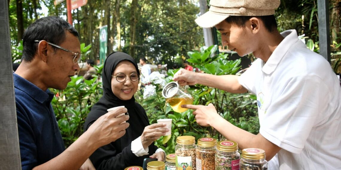 Hadiri Pasar Leuweung, Atalia Ridwan Kamil: Promosikan Teh dan Kopi Jabar