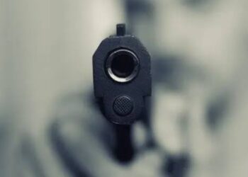 Diduga Acungkan Senpi Ke Anggota TNI, Toto Hutagalung Dilaporkan ke Polda Jabar