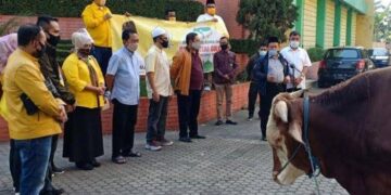 Qurban Sapi dan Domba di Kecamatan Se-Kabupaten Bandung, Ini Pesan Cucu dan Lili Pada Masyarakat