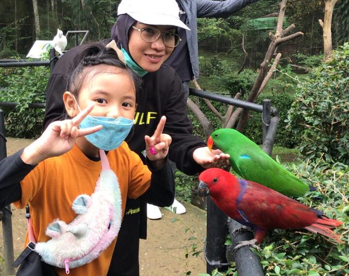 Zona Petting Zoo Segera Dibuka di Bandung Zoo