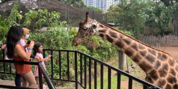 Yuk Manfaatkan Program Diskon 50 Persen Feeding di Bandung Zoo
