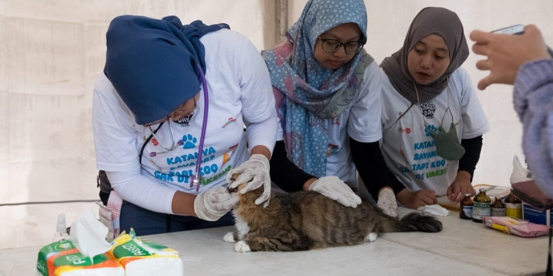 Pecinta Kucing Sambut Antusias Vaksinasi Rabies dan Sterilisasi Gratis