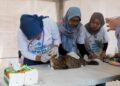 Pecinta Kucing Sambut Antusias Vaksinasi Rabies dan Sterilisasi Gratis
