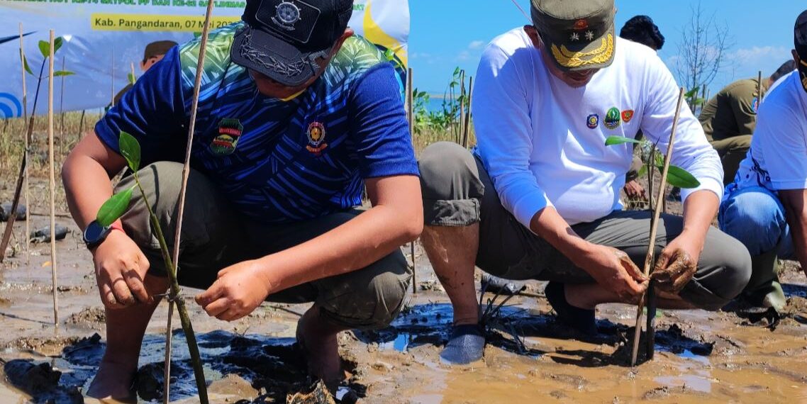 Peduli Lingkungan, Satpol PP Jabar Tanam 1.000 Pohon Mangrove dan Tanaman Keras